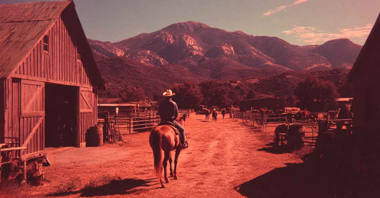 chestnut ranch series elsie silver booktok